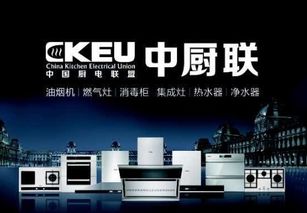 ckeu中廚聯(lián)專業(yè)提供沒(méi)有品牌的廚房電器